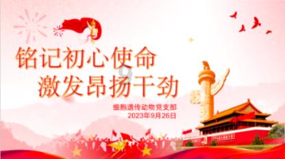 小猪佩奇的公主裙